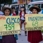 noticias wordpress 3 1 1 85x85